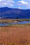 Lake landscape