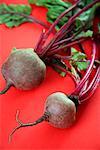 Beet bulbs with greens