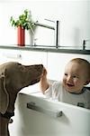 Baby in drawer smiling as dog sniffs baby's hand