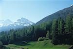 France, Haute-Savoie, Chamonix