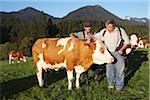 Farmers Looking at Cow