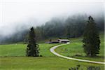 Fog Over Farmland