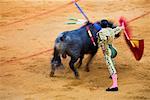 Matador und Bull in Stierkampf Ring, Andalucia, Sevilla, Spanien
