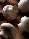 Champignons