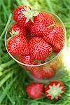 fraises dans un verre