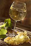 glass of white Bourgogne wine
