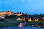 Carcassonne en France au crépuscule