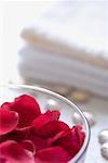 Close-up of rose petals in a bowl with four white towels