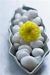 Close-up of a yellow flower with white pebbles in a bowl