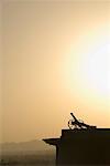 Silhouette of a cannon at sunset, Neemrana Fort, Neemrana, Alwar, Rajasthan, India