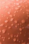 High angle view of water droplets on a red surface