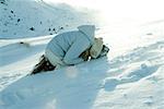 Teen girl curled up on snow