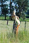 Jeune femme à se pencher sur la clôture rural, vue arrière