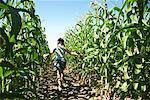 Enfants qui courent à travers champ de maïs