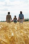 Großmutter, Mutter und Tochter Wandern im Getreidefeld