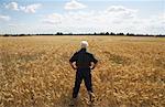 Man Standing in Grain Field