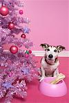 Hund mit Hundeknochen neben Weihnachtsbaum