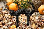 Autumn Display with Decorative Black Cat in Leaves