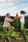 Homme et enfant, plantation de plantes dans le jardin