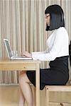 Femmes d'affaires utilisant un ordinateur portable, vue latérale