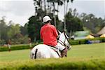 Rear view of a man playing polo