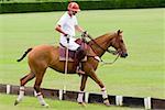 Side profile of a man playing polo