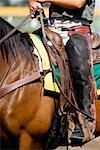 Low section view of a jockey riding a racehorse