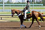 Side profile of a jockey riding a horse on a horseracing track