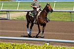 Side profile of a jockey riding a horse in a horse race