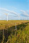 Wind turbines in a field, Pakini Nui Wind Project, South Point, Big Island, Hawaii Islands, USA