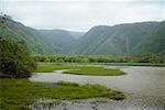 River fließt in einem Tal und Pololu Valley, Kohala, Inseln Big Island, Hawaii, USA