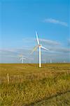 Wind turbines in a field, Pakini Nui Wind Project, South Point, Big Island, Hawaii Islands, USA