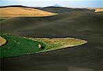 Contour plowed fields, Washington state