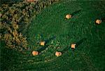 Aerial view of hay fields, Washington state