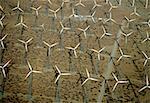 Wind farm turbines, Whitewater, California