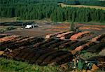 Large commercial sawmill, Idaho, USA