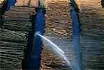 Watering logs to reduce heat buildup, sawmill, Idaho