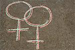 High angle view of female symbols drawn on the road