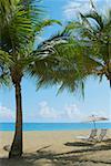 Lounge-Stühlen unter Patio Sonnenschirme am Strand, Ocean Park, El Condado, San Juan, Puerto Rico