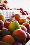 Gros plan des mangues sur un stand de fruits