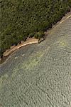 Vue aérienne des arbres au bord de mer, Florida Keys, Floride USA
