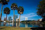 Reflection of buildings in a lake Lake Eola, Lake Eola Park, Orlando, Florida, USA