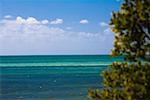 Panoramic view of the sea, Florida Keys, Florida, USA