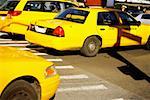 Yellow taxis on a road, Times Square, Manhattan, New York City, New York State, USA