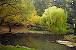 Reflection of trees in water, Central Park, Manhattan, New York City, New York State, USA