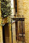 Iron gate of a building, Toledo, Spain