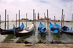 Gondolas docked in a canal, Grand Canal, Venice, Italy