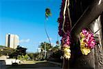Gros plan d'une guirlande accrochée à une statue, Honolulu, Oahu, archipel de Hawaii, États-Unis