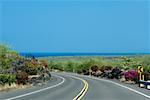 Road passing through a landscape, Honaunau, Kona Coast, Big Island, Hawaii Islands, USA