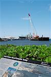 Military ship and a crane at a commercial dock, Pearl Harbor, Honolulu, Oahu, Hawaii Islands, USA